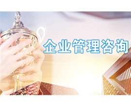 企业管理咨询