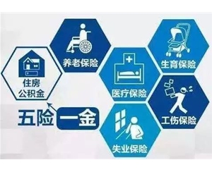 灵活就业人员社保代理